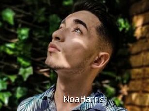 NoaHarris