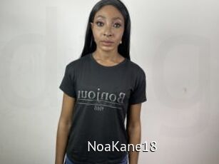 NoaKane18