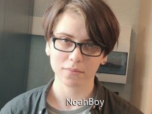 NoahBoy