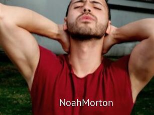 NoahMorton