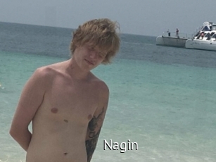 Nagin