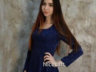 Nicecatt