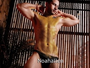 Noahallen