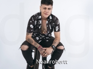 Noahrobertt