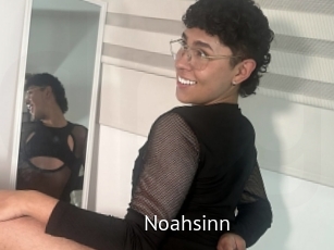 Noahsinn