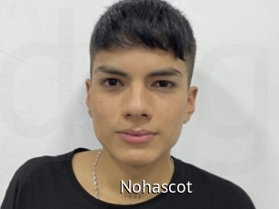 Nohascot