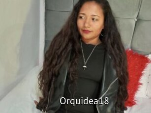 Orquidea18