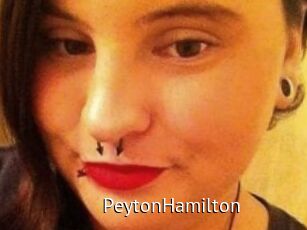 Peyton_Hamilton