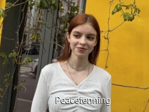 Peacefenning