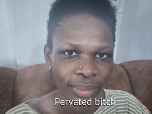 Pervated_bitch