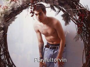 Playfultorvin