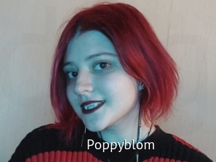 Poppyblom