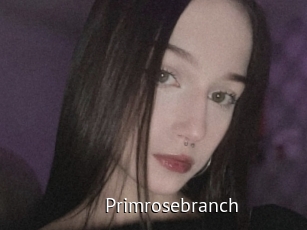 Primrosebranch