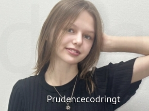 Prudencecodringt