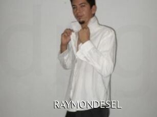 RAYMONDESEL