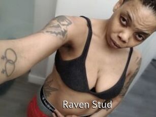 Raven_Stud