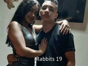 Rabbits_19