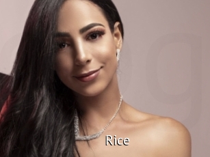 Rice