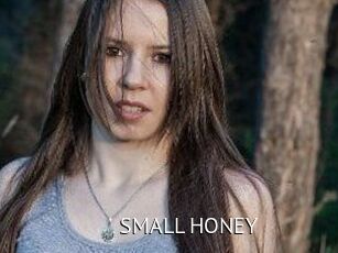 SMALL_HONEY