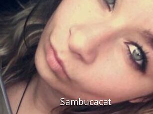 Sambucacat