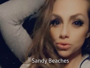 Sandy_Beaches