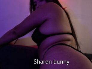 Sharon_bunny
