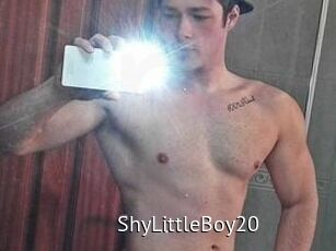 ShyLittleBoy20