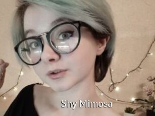 Shy_Mimosa