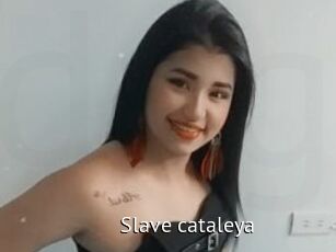 Slave_cataleya