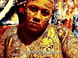SpiderTheSnake