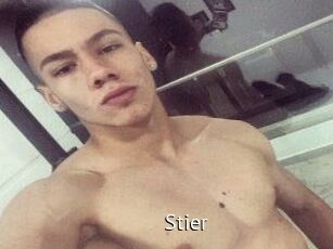 Stier