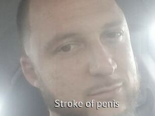 Stroke_of_penis