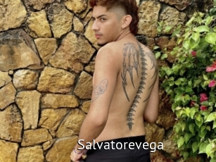 Salvatorevega