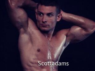 Scottadams