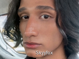 Skyyfox