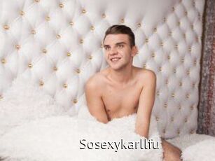 Sosexykarllfu