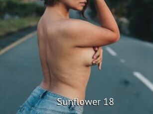 Sunflower_18