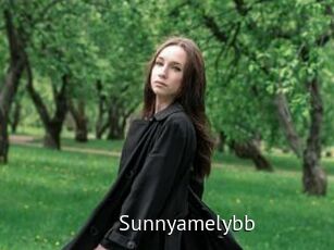 Sunnyamelybb