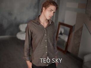 TEO_SKY