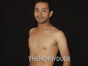 THEHORNYDUDE