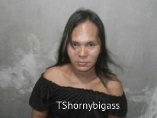 TShornybigass