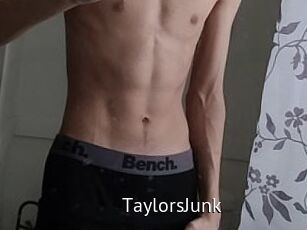 TaylorsJunk