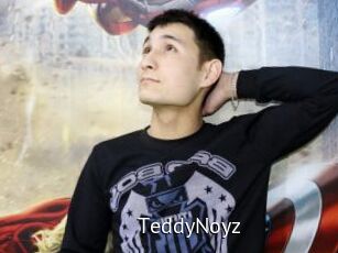 TeddyNoyz
