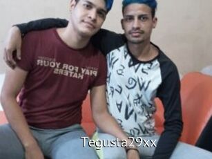 Tegusta29xx