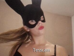 Tesscam