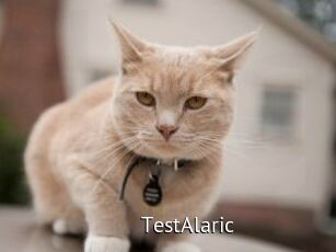 TestAlaric