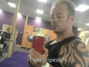 Tigerstripes6767