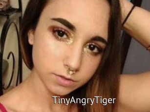 TinyAngryTiger