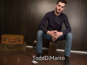 ToddDiMarco
