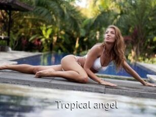 Tropical_angel